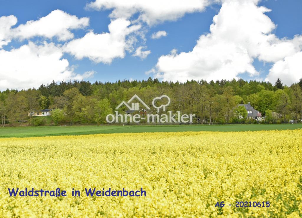 Waldstraße in 56355 Weidenbach