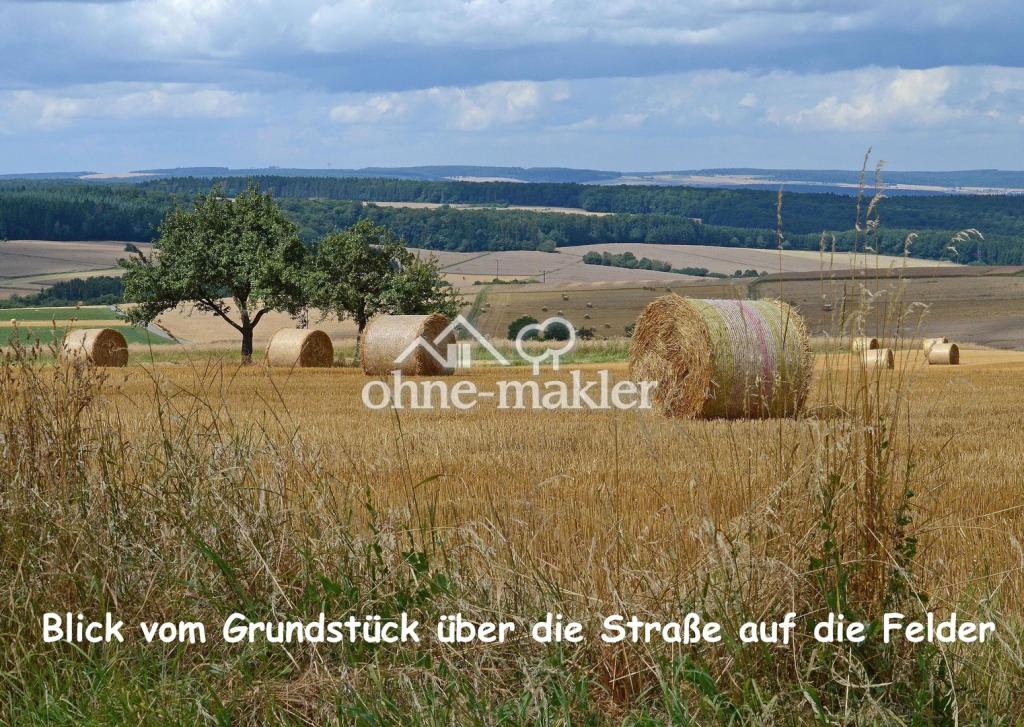 Der Blick in Richtung Südwest