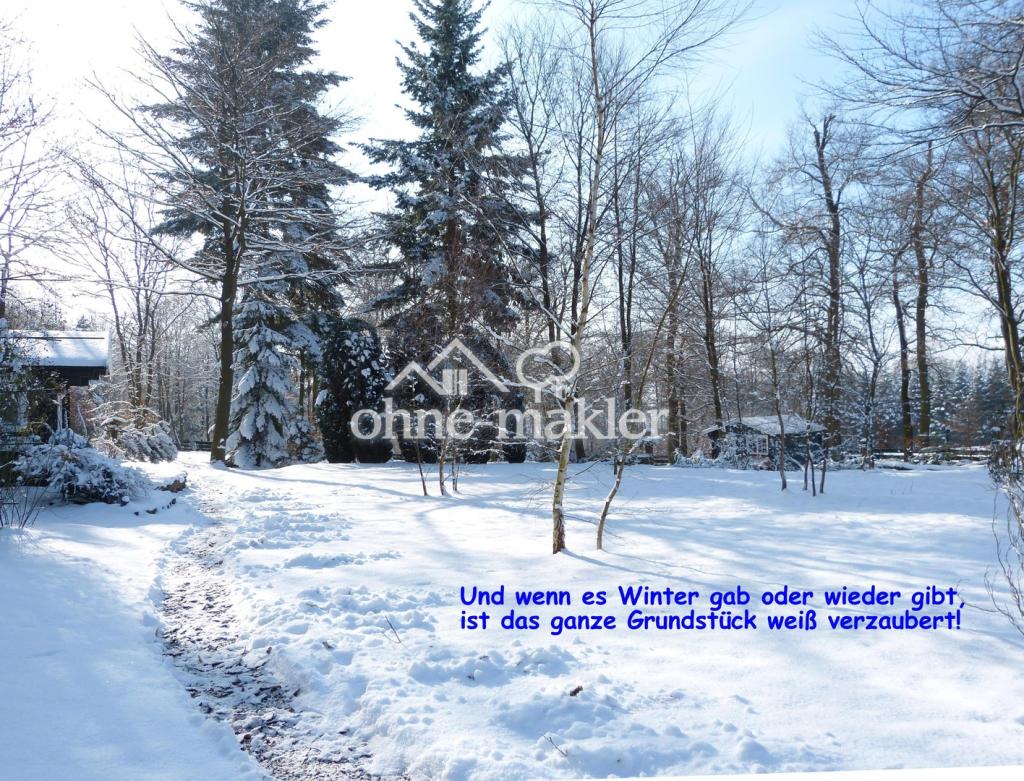 Das ganze Grundstück im Schnee