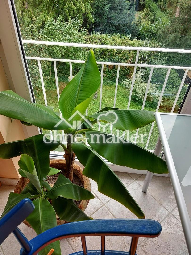 Premium Apartment in zentraler und ruhiger Lage mit Reduktion für WE-Heimfahrer - Photo 3