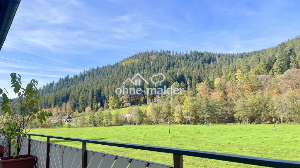 Ausblick vom Nord-West Balkon