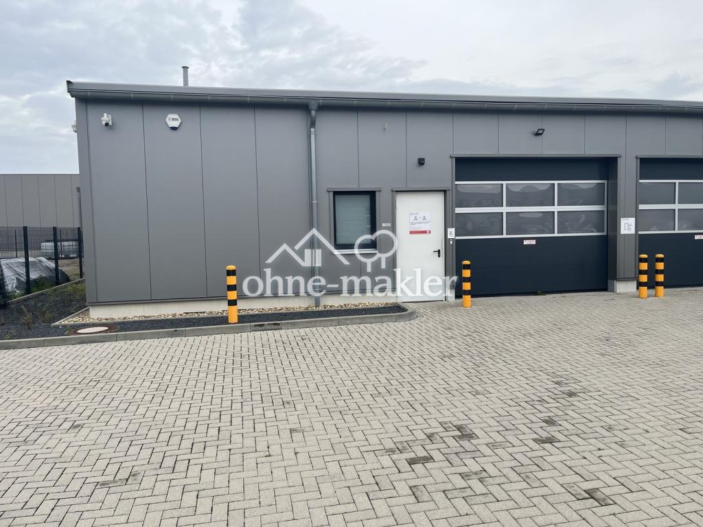 akt. Bild, linke Hallenfront