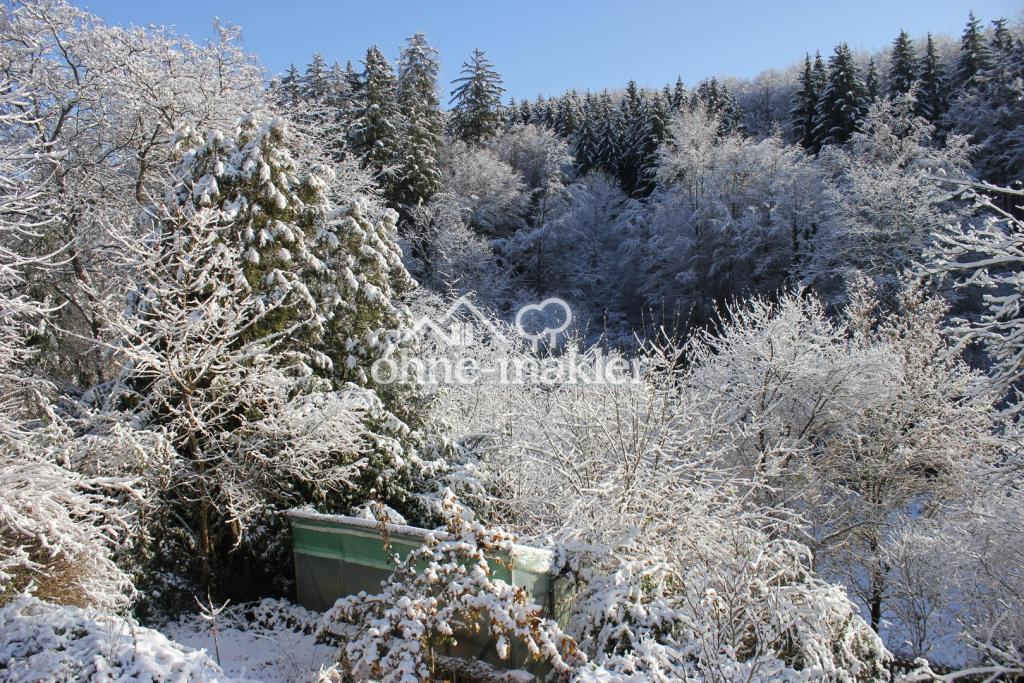 Möblierte 1.5-Zi-Wo mit Balkon und Garten - Foto 5