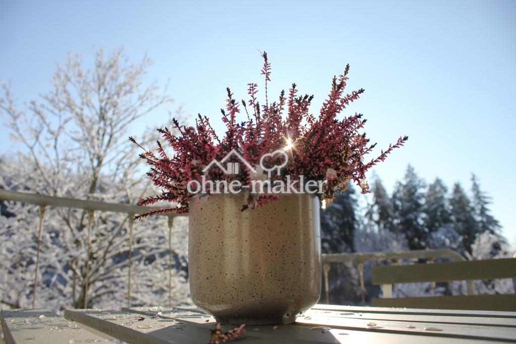 Möblierte 1.5-Zi-Wo mit Balkon und Garten - Foto 4