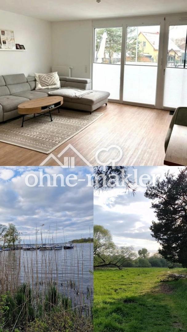 Ihr neues Zuhause für Hund und Familie mit viel Platz zum Spielen - Photo 1