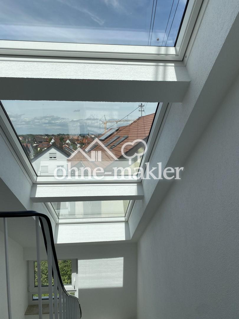 Aussicht vom DG des Treppenhau