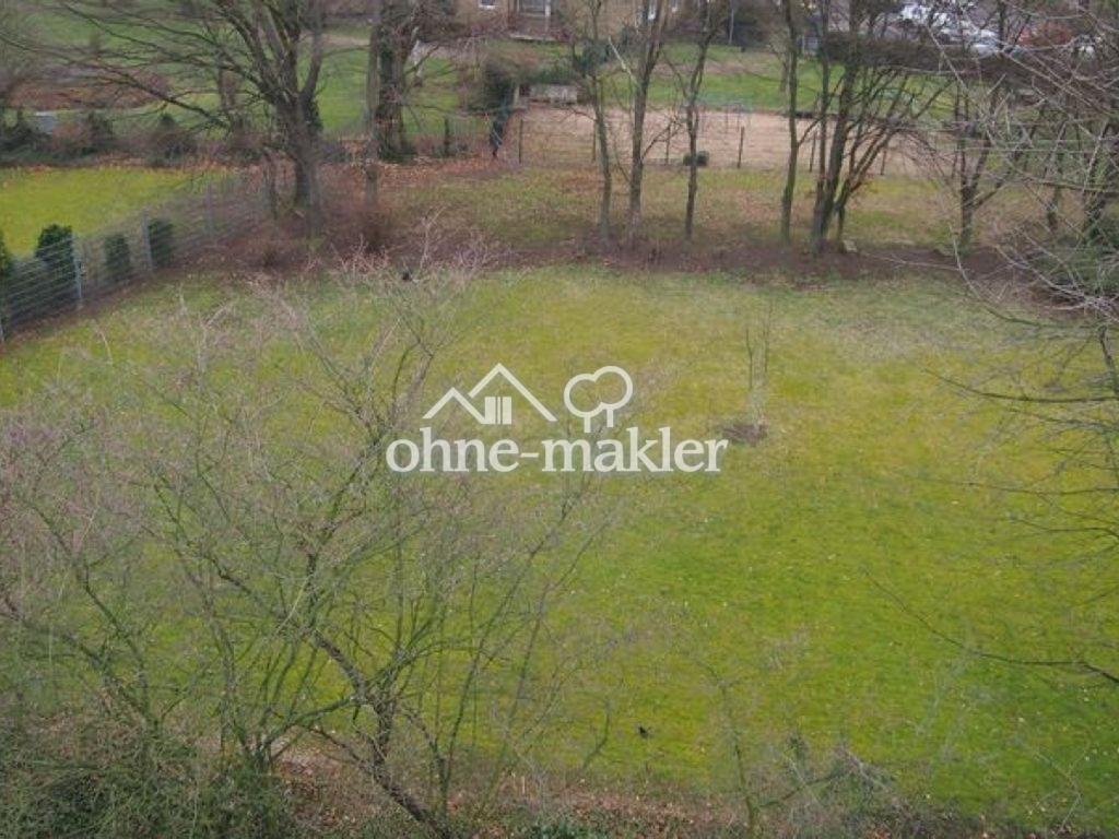 Sicht in den Garten 