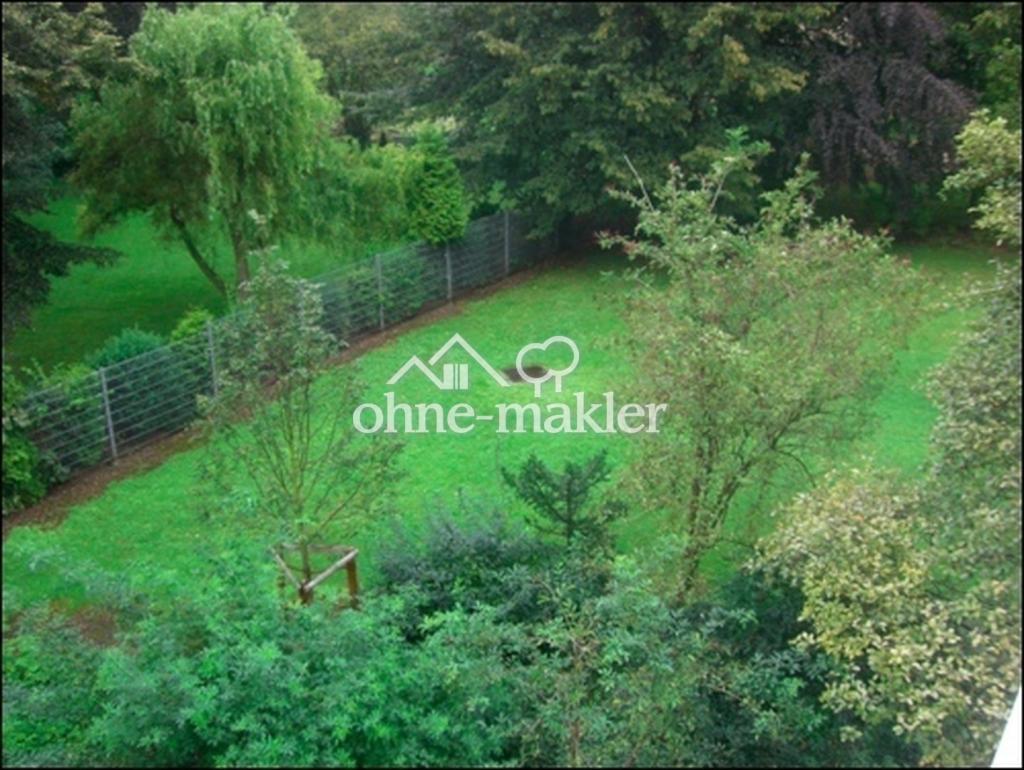 Blick in den Garten 