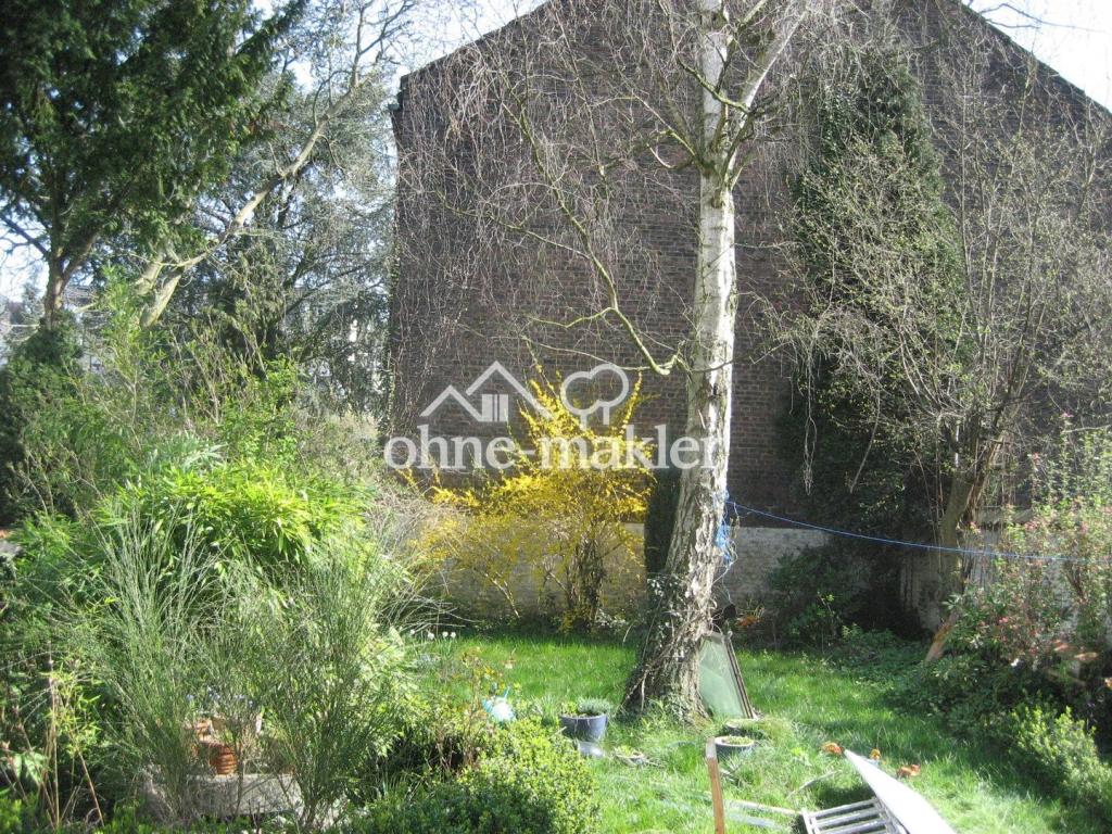 Blick in den Garten
