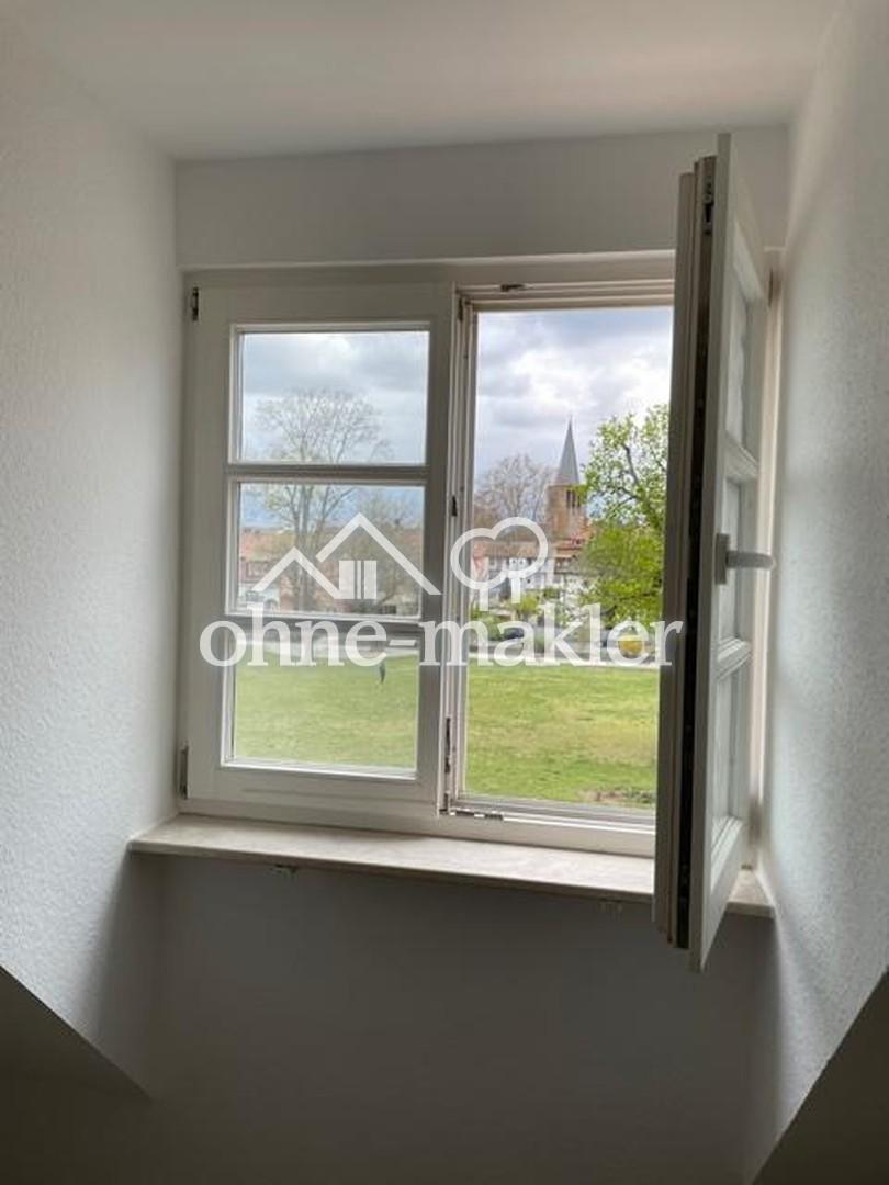 Blick ins Grüne 