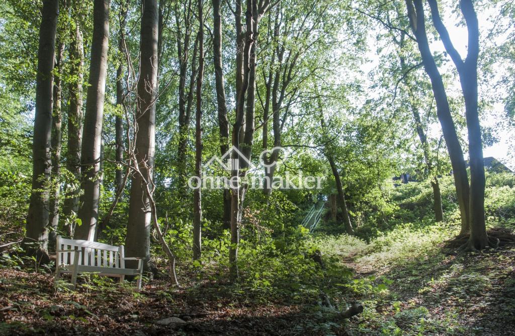 Im eigenen Wald