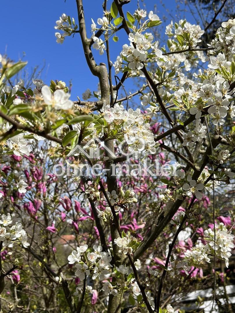 Gartenimpressionen