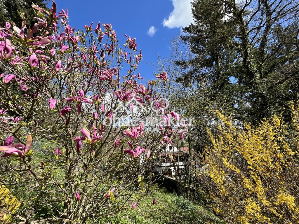 Gartenimpressionen