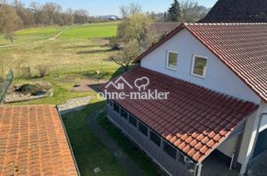 Blick auf den Garten 
