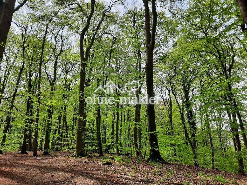Wald