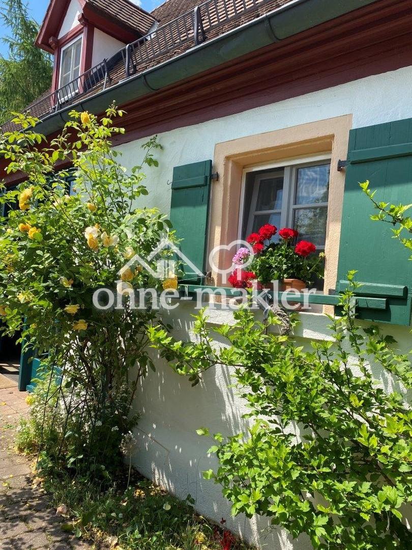 Rose Bauernhaus Geranien