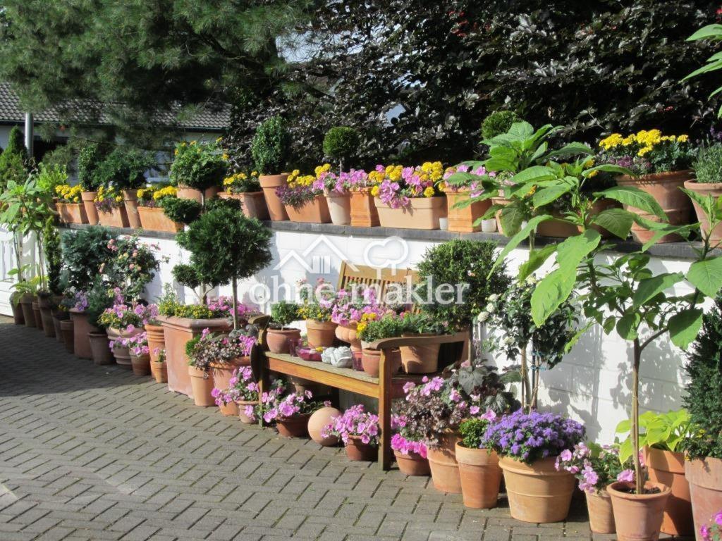 2-3-Zimmer-Wohnung mit Haus-Ambiente - Foto 4