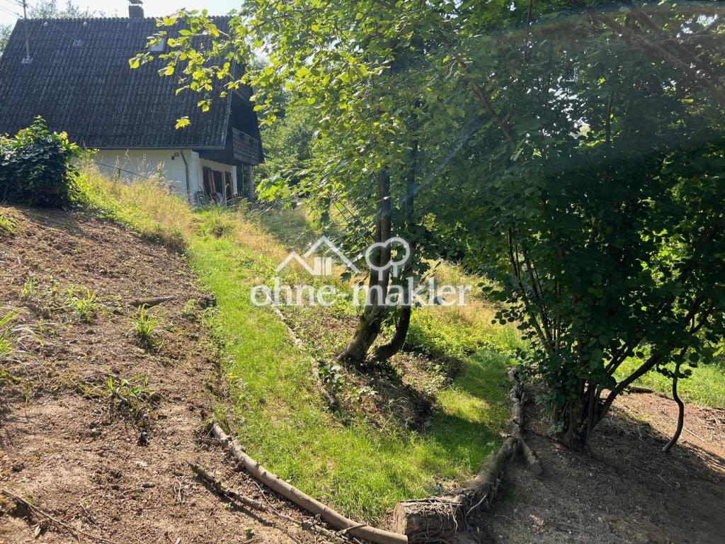 Weg durchs Grundstück