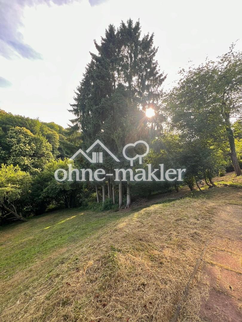 Abendstimmung Garten