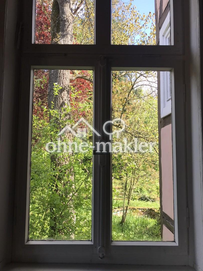 Ausblick in den Garten