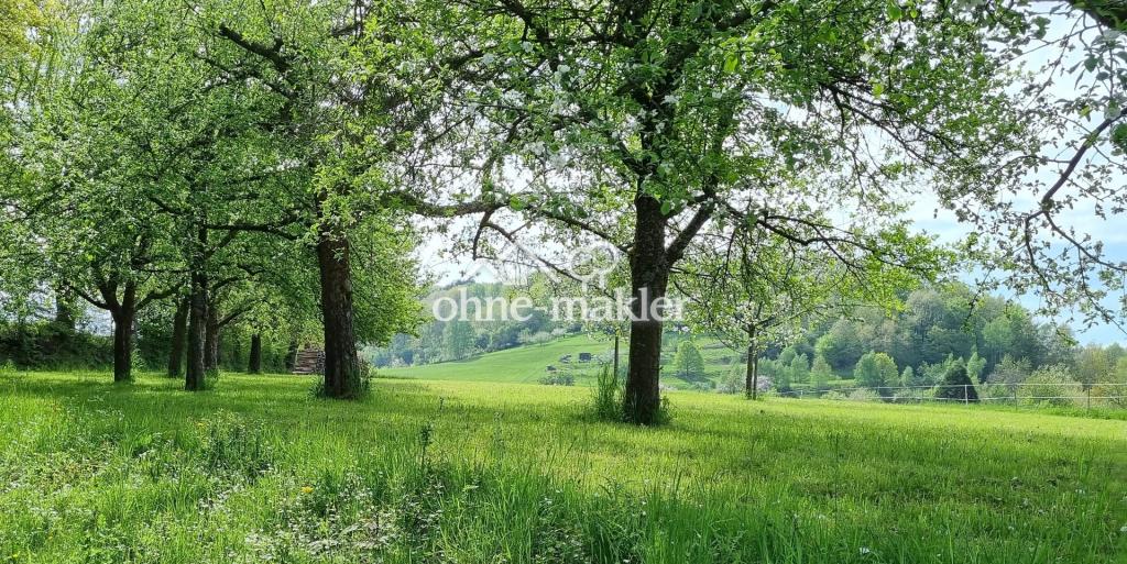 Impressionen Spazierweg