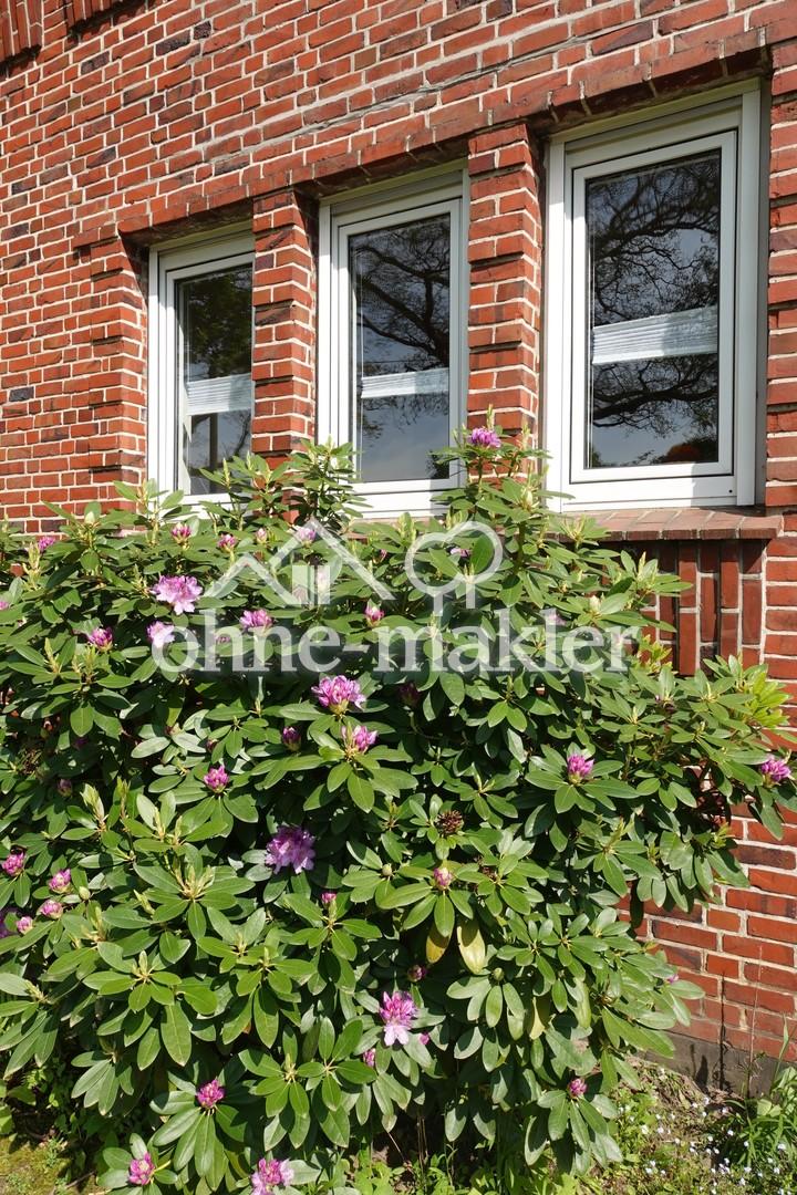 Wohnzimmer strassenseitig