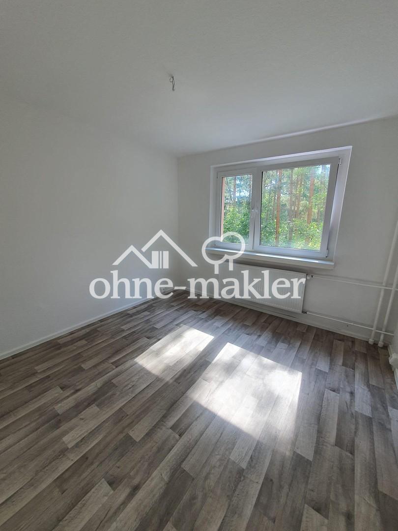 Erstbezug nach Sanierung! 3 Zi.Whg. mit Balkon in Walddrehna - Photo 1