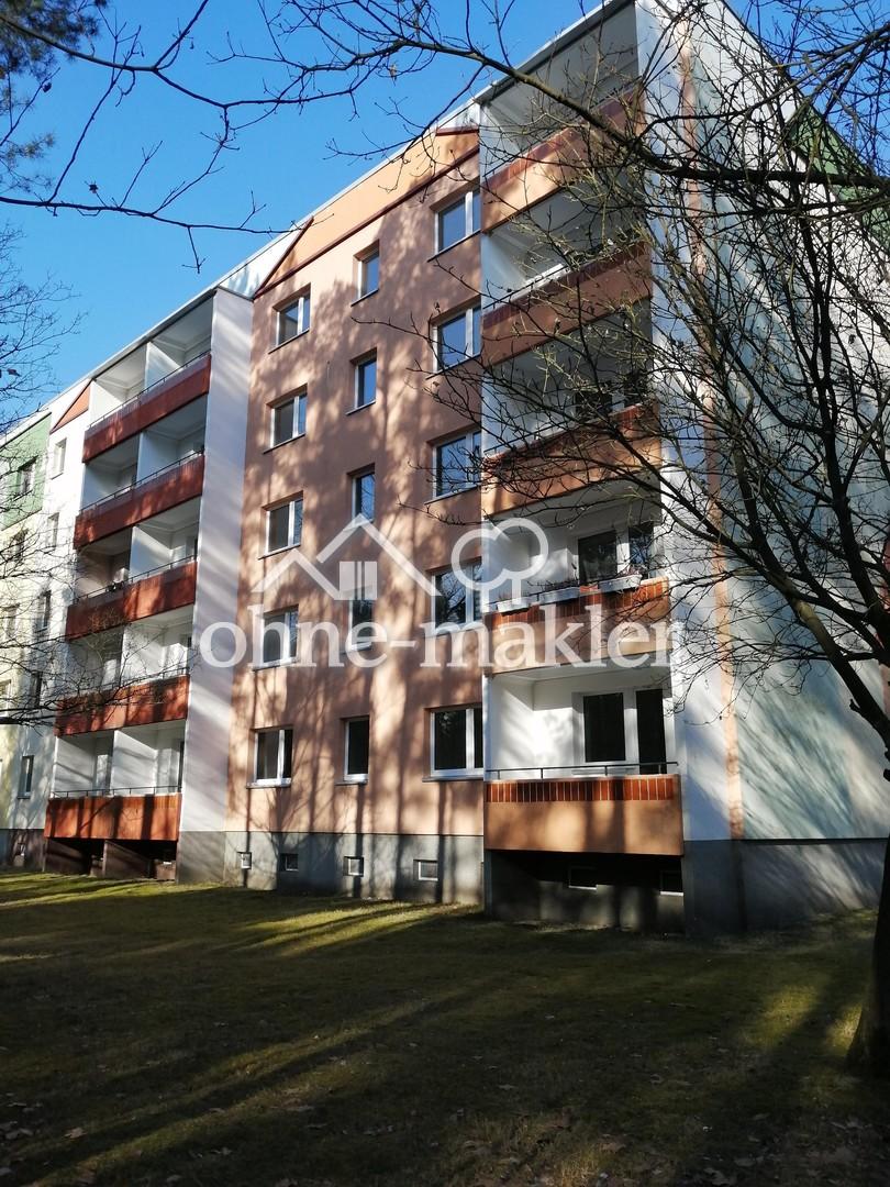 Erstbezug nach Sanierung! 3 Zi.Whg. mit Balkon in Walddrehna - Foto 2