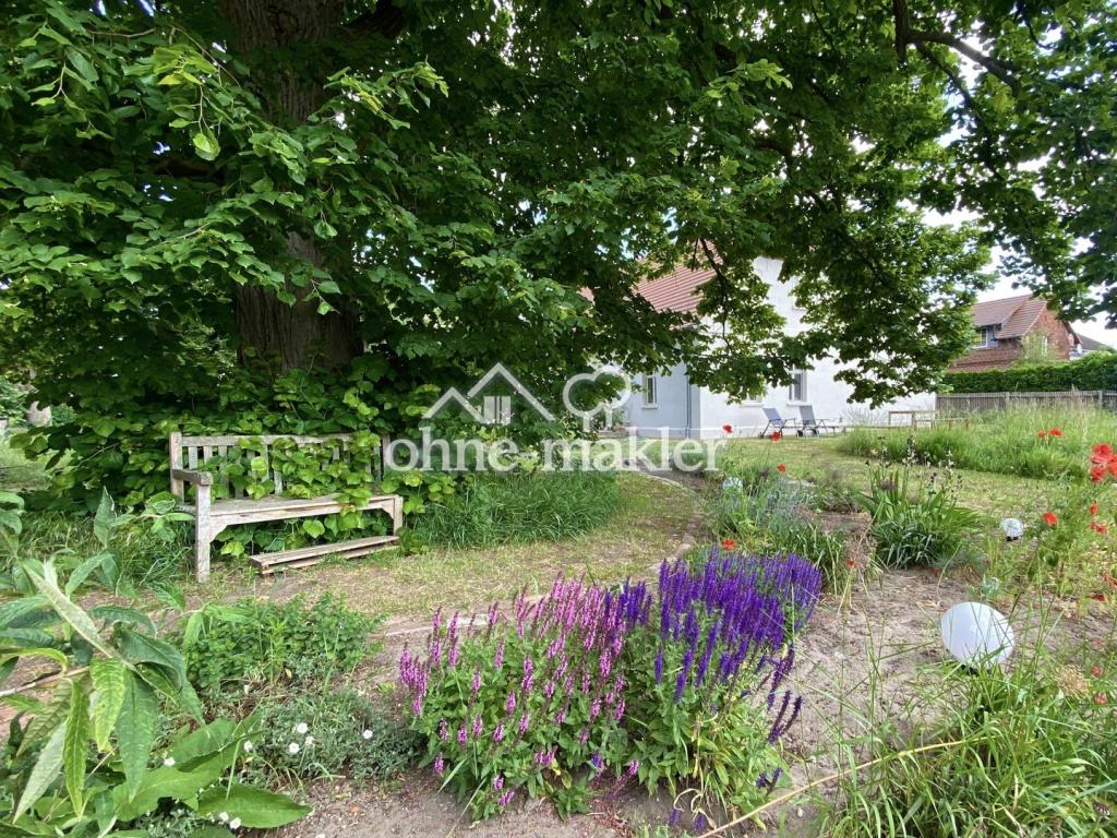 Gartenbeet an der Linde