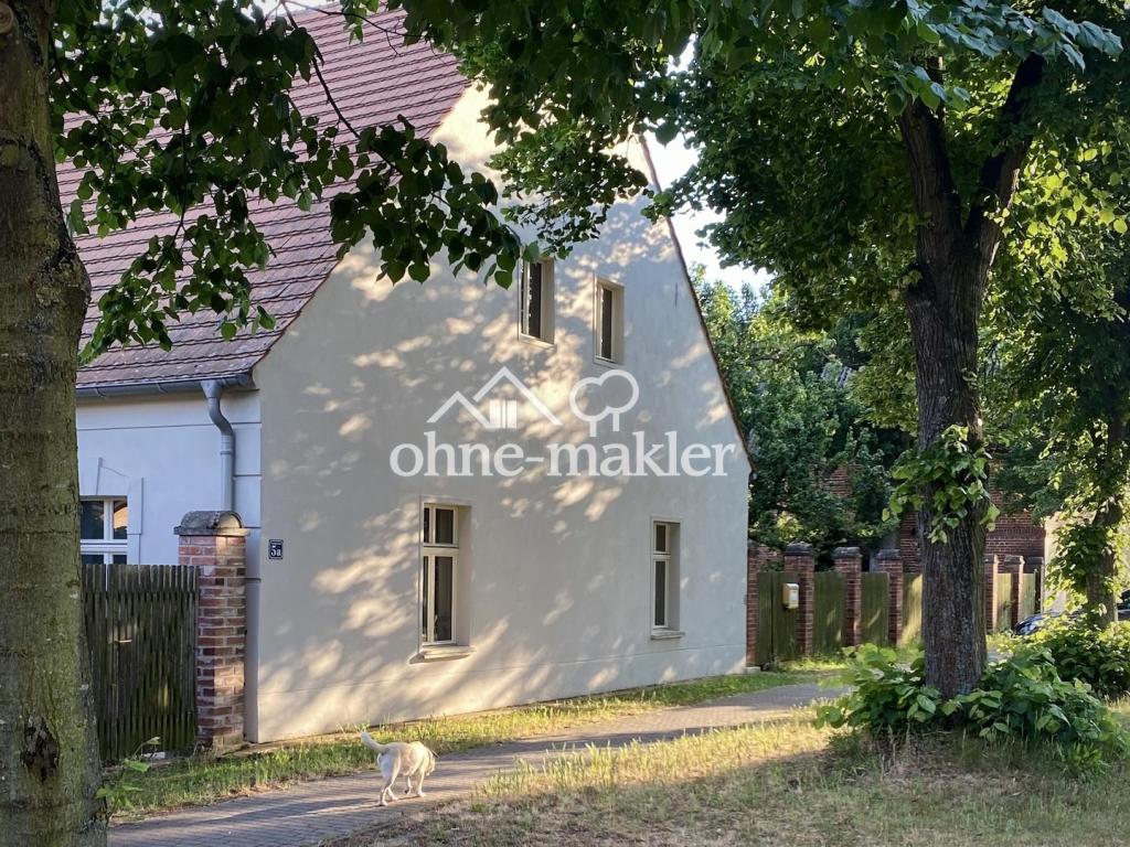 Blick Strassenfront
