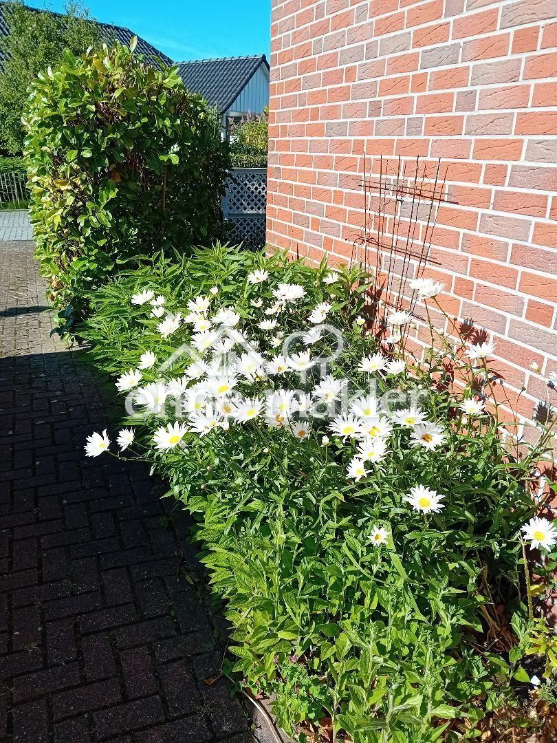 Hausfront neben d. Hauseingang