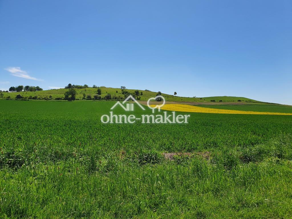 Der Offenberg, der Namensgeber