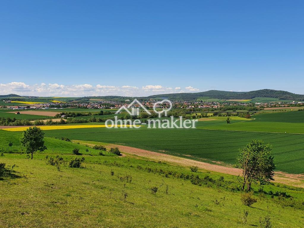 Blick vom Offenberg im Mai