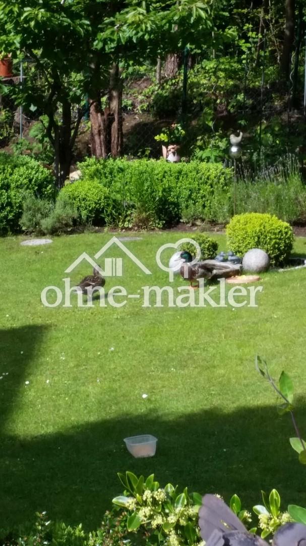 Gartenimpressionen