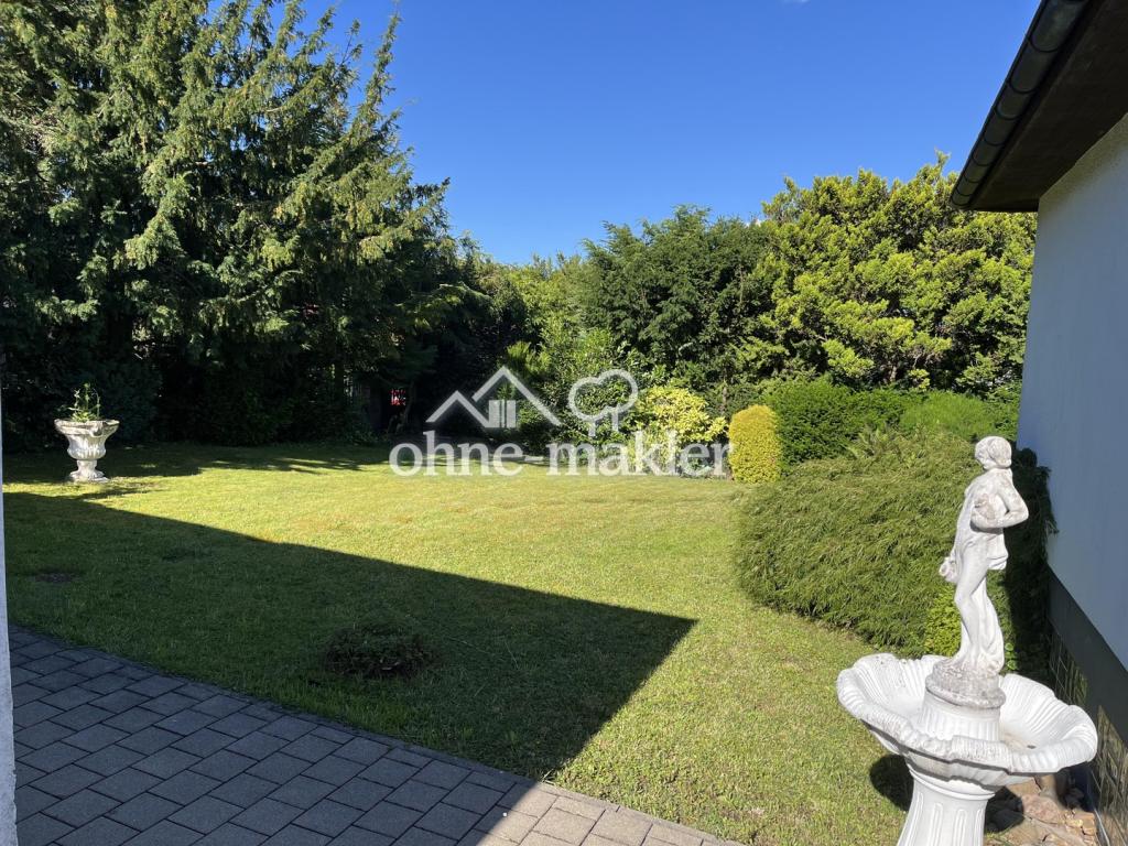 Blick in den Garten