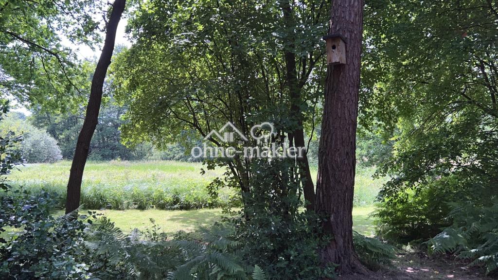 Blick im unteren Garten