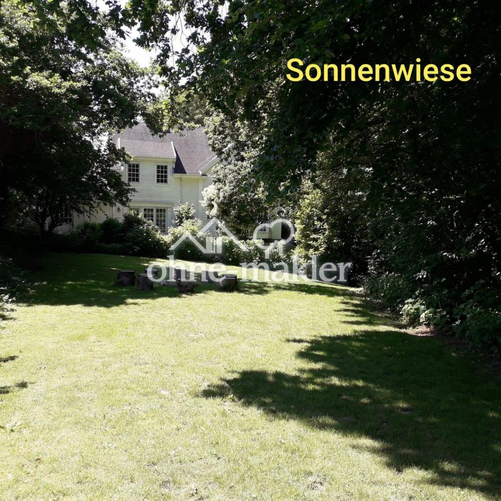 Sonnenwiese