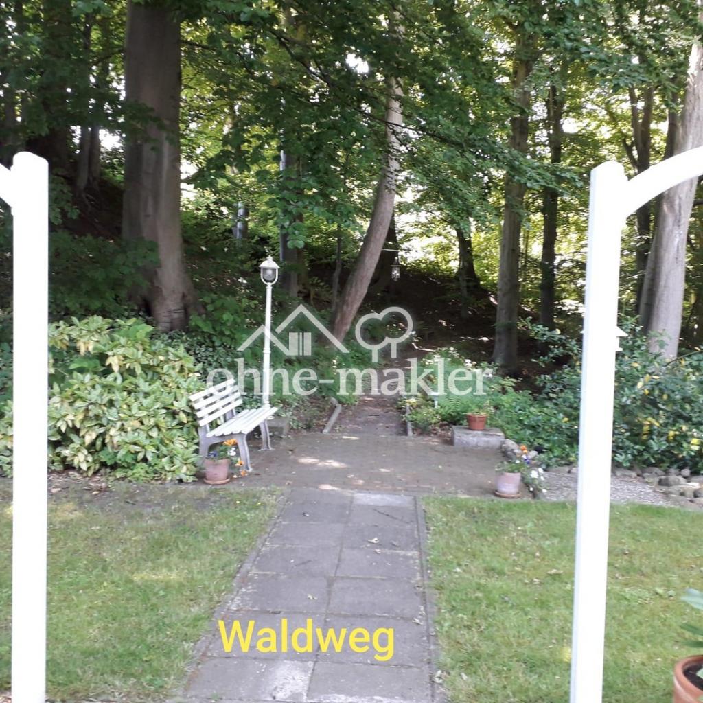Waldweg