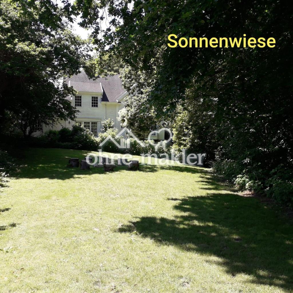 Sonnenwiese