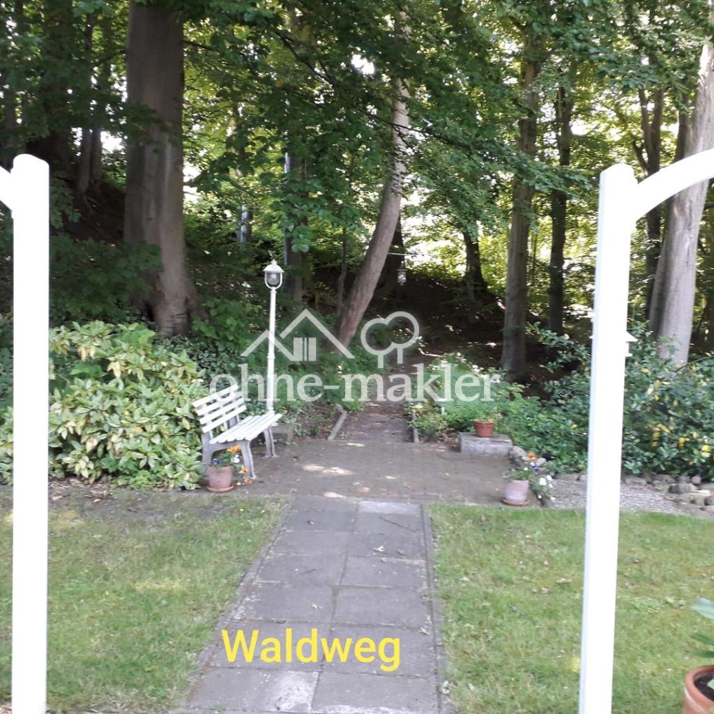 Waldweg