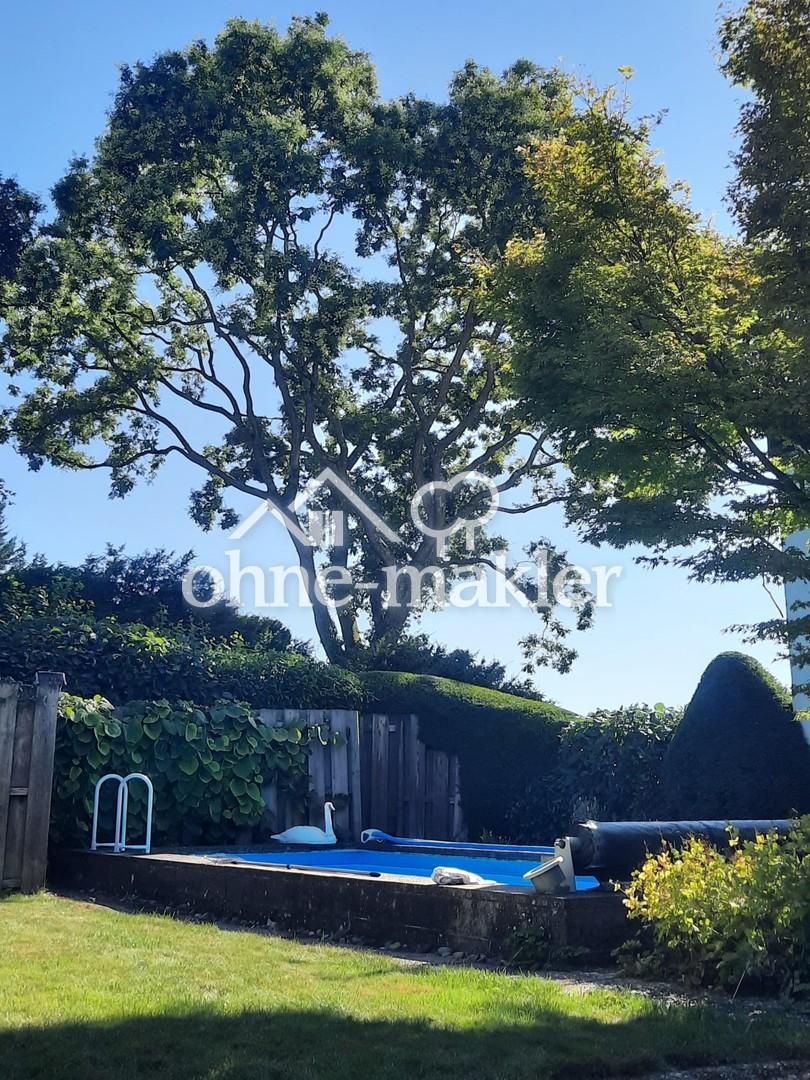 Garten mit Pool