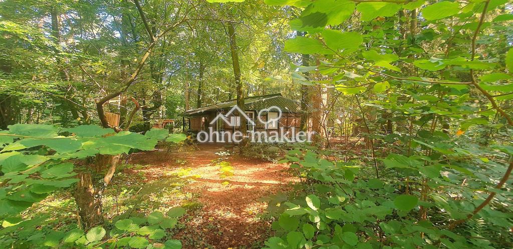 Waldgrundstück mit kl. Haus