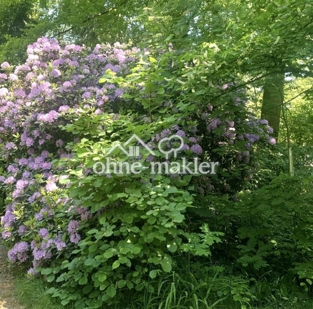 Blütenpracht Mai-Juni 25