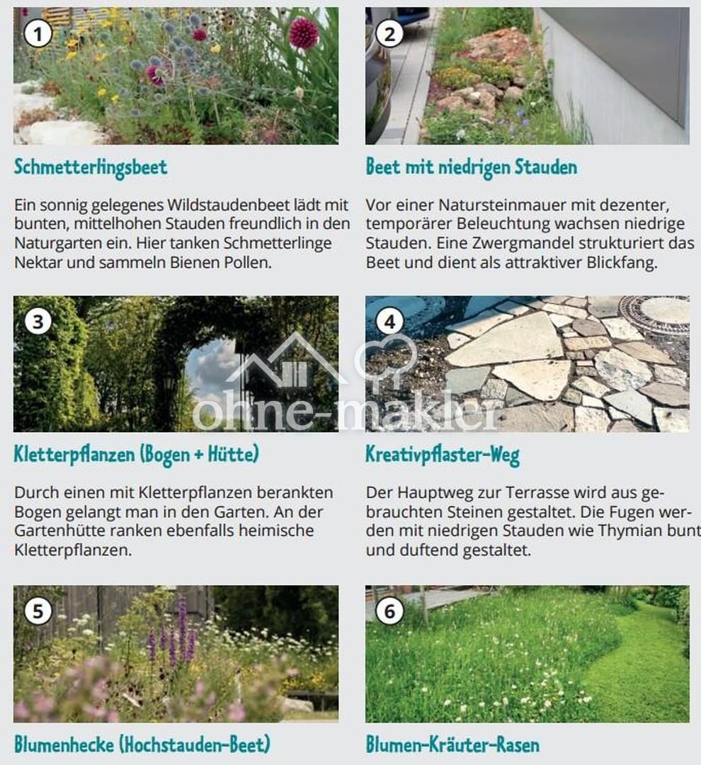 Naturgartenkonzept