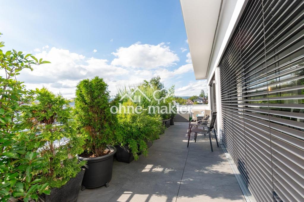 Große Dachterrasse Teil 2