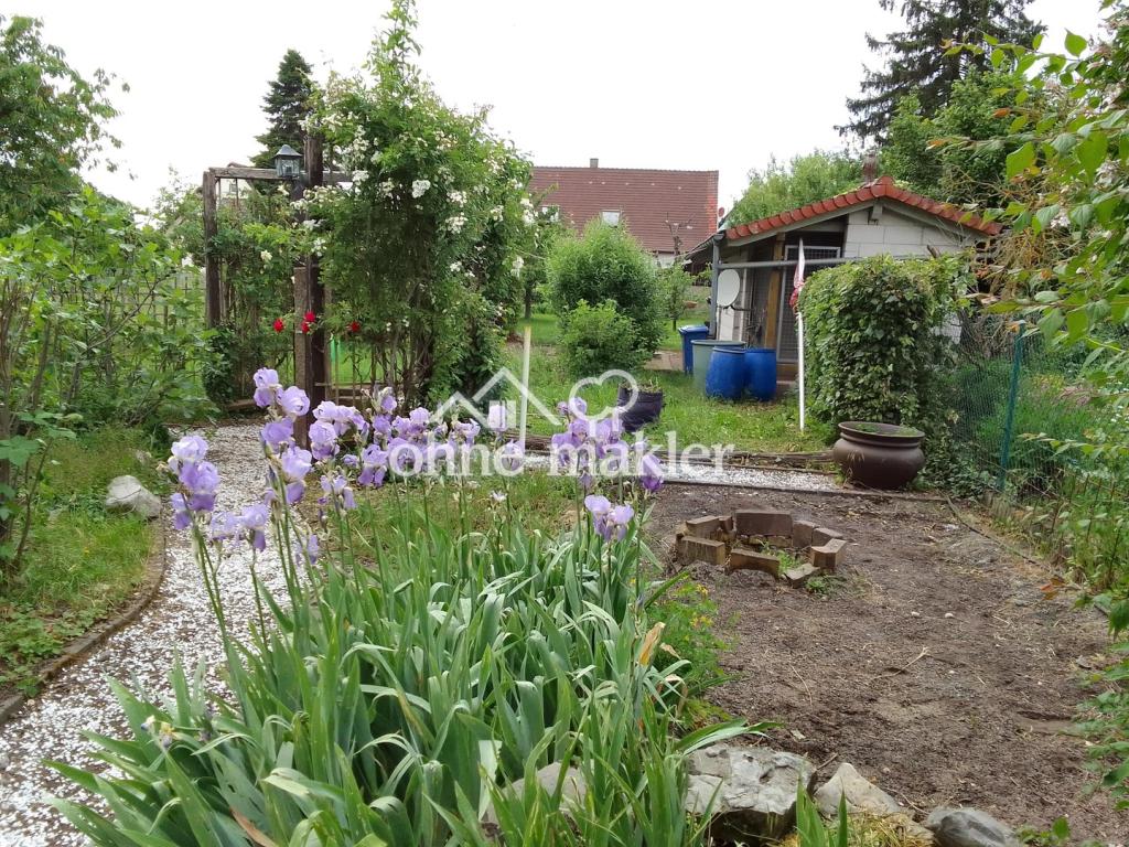 Aussicht von Garage