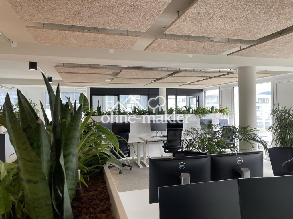 Open Space