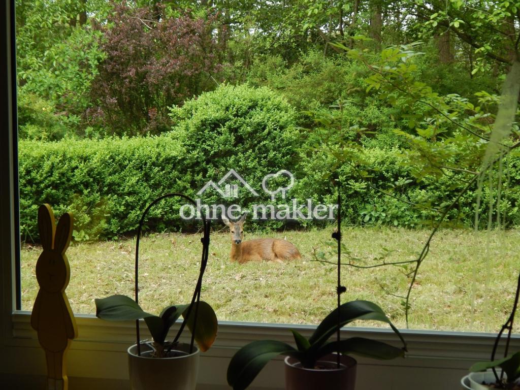 Blick aus dem Esszimmer