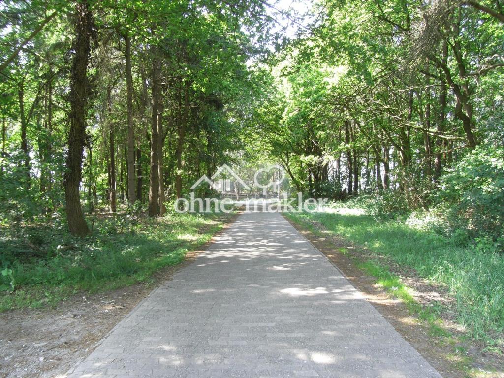 Straße vor dem Haus West