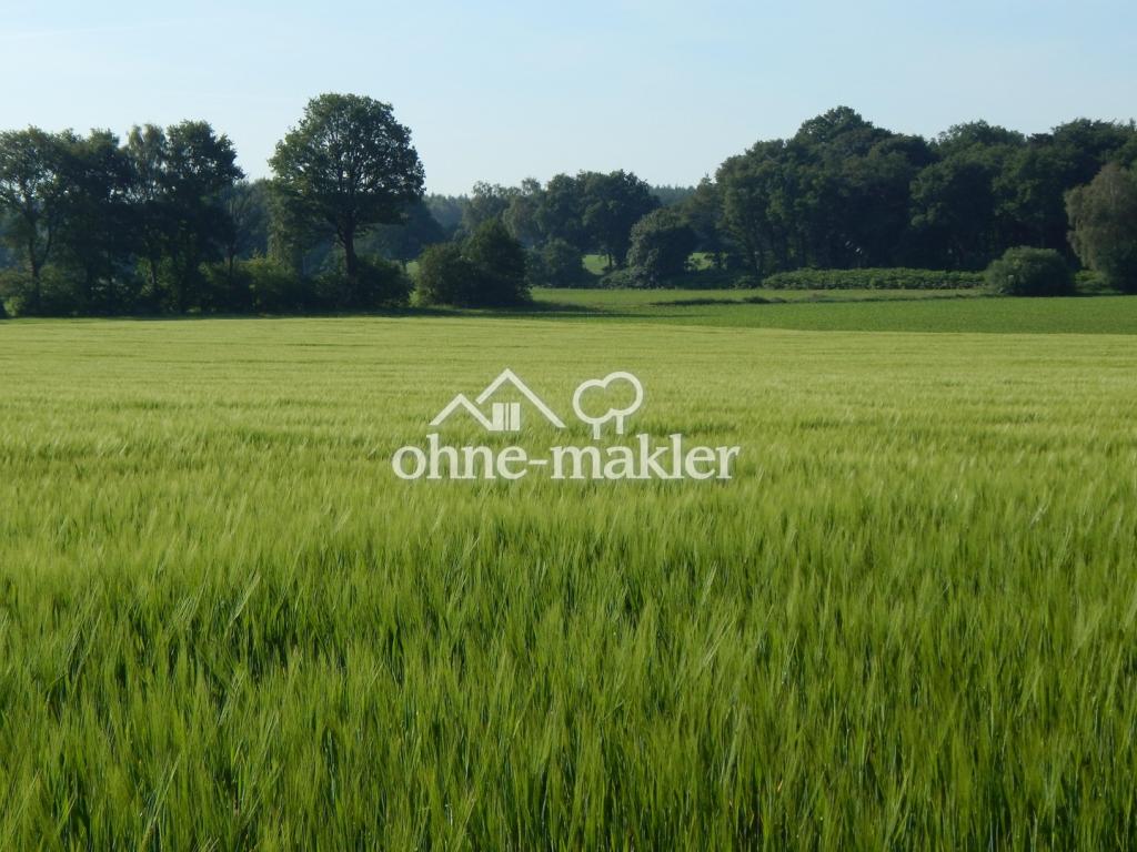Ansicht von der Auffahrt Osten